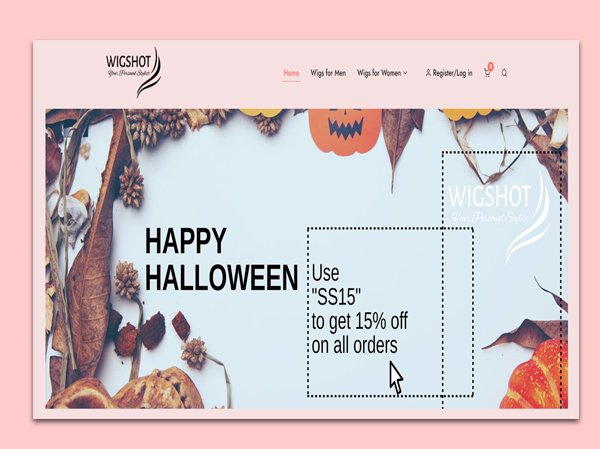 CMS Web Design & Development Company 4 case7